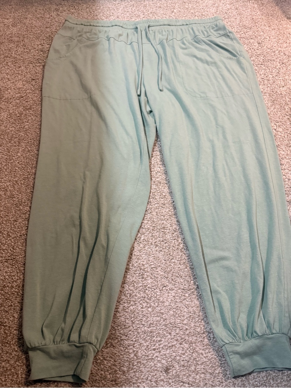 AnyBody Light Mint Green Joggers size 1X buttery fabric